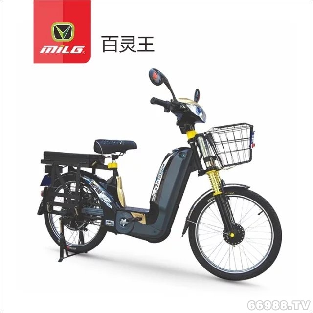 富騰達(dá)美翎百靈王電動(dòng)車